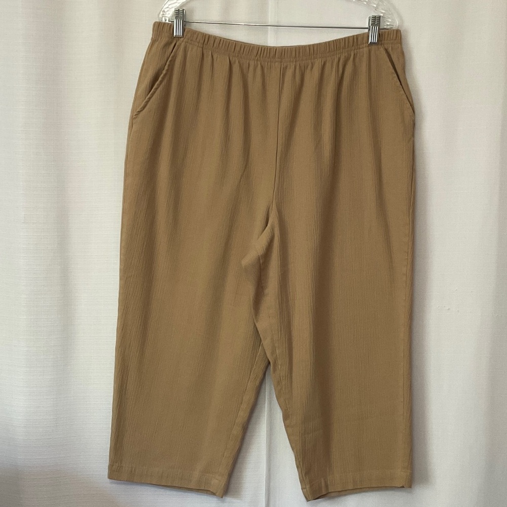 Blair Beige Elastic Waist Women’s Capri Pants Size 20WM
